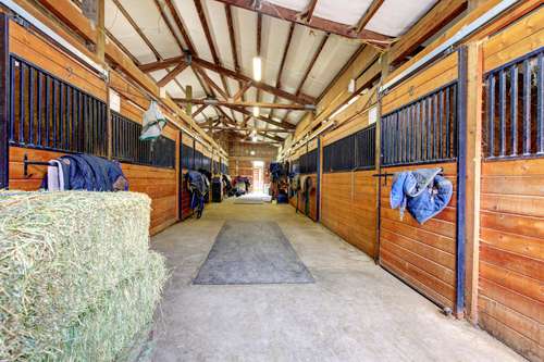 Horse Stable Insurance